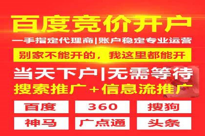 SEM服务公司助力企业增长案例